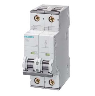 [100020082] INT TERMOMAG 2X 6A 220VCC/POLO 10KA CURVA C   5SY5206-7